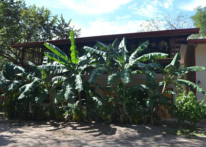 Lodge Tekana Boutique Jungle Retreat (adults Only) *