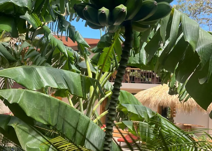 Tekana Boutique Jungle Retreat (adults Only)